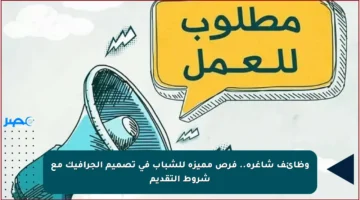 وظائف شاغرة.. فرص مميزة للشباب في تصميم الجرافيك مع شروط التقديم